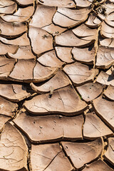 Detail Of Dry Ground On The Desert - Texture / Pattern