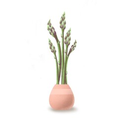 Asparagus in the flower pot