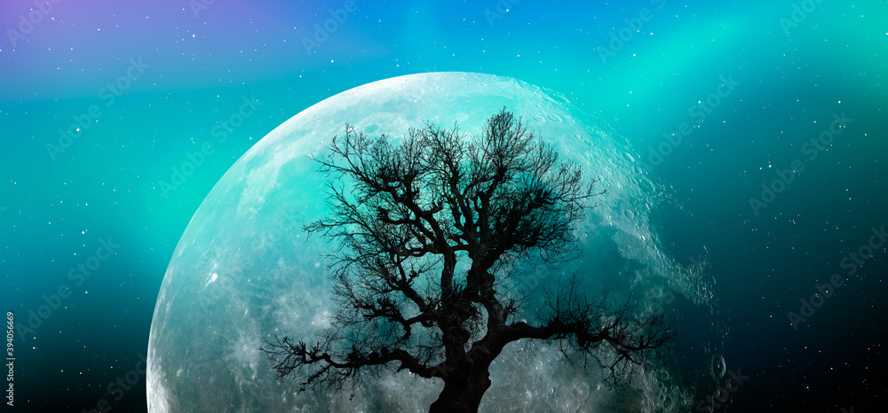 Poster beautiful landscape with lone tree in the background full moon and aurora 