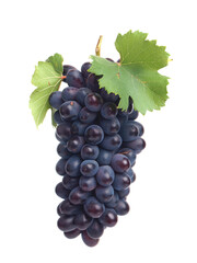 Fototapeta premium Grape fruit on a white background