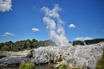 New Zealand, Pohutu Geyser in Rotorua: the largest geyser in the southern hemisphere. It can erupt...