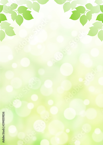 キラキラ背景画像素材 新緑と木漏れ日の背景 縦位置 上 Background Wall Mural Backgrou Kinusara