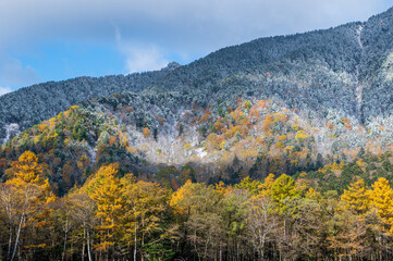 上高地 カラマツの黄葉とうっすらと雪化粧した山々の紋様