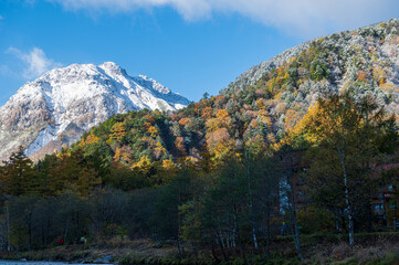 上高地の秋 冠雪した山々と紅葉風景の対比