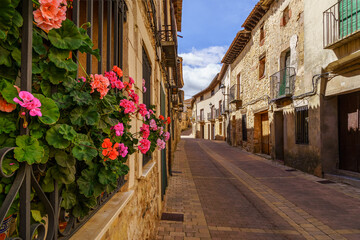 Fototapeta na wymiar Flores en las ventanas en la vieja ciudad medieval de Atienza Guadalajara con casas y calles de piedra. 