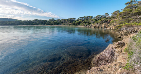 Discovery of the island of Porquerolles in summer. Deserted beaches and pine trees in this landscape of the French Riviera