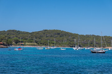 Discovery of the island of Porquerolles in summer. Deserted beaches and pine trees in this landscape of the French Riviera