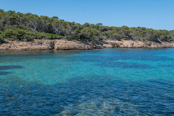 Fototapeta premium Discovery of the island of Porquerolles in summer. Deserted beaches and pine trees in this landscape of the French Riviera
