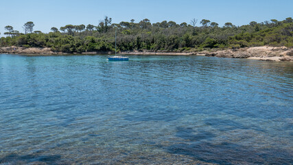 Discovery of the island of Porquerolles in summer. Deserted beaches and pine trees in this landscape of the French Riviera