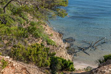 Obraz premium Discovery of the island of Porquerolles in summer. Deserted beaches and pine trees in this landscape of the French Riviera