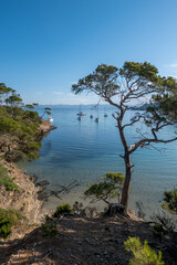 Discovery of the island of Porquerolles in summer. Deserted beaches and pine trees in this landscape of the French Riviera