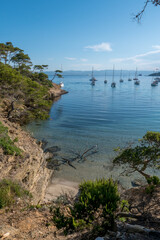 Discovery of the island of Porquerolles in summer. Deserted beaches and pine trees in this landscape of the French Riviera