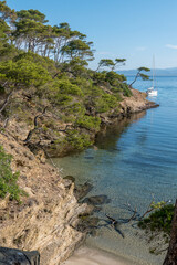 Obraz premium Discovery of the island of Porquerolles in summer. Deserted beaches and pine trees in this landscape of the French Riviera