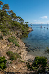 Discovery of the island of Porquerolles in summer. Deserted beaches and pine trees in this landscape of the French Riviera