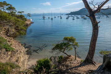 Discovery of the island of Porquerolles in summer. Deserted beaches and pine trees in this landscape of the French Riviera