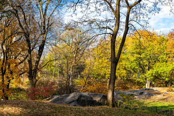 Fototapeta premium Autumn Landscape and a Blue Sky