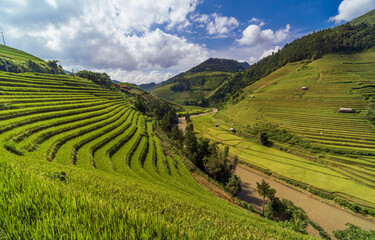 Fototapeta na wymiar Terraced rice fields, Mu Cang Chai, Yen Bai, Vietnam