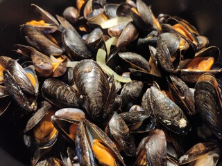 fresh mussels on the market