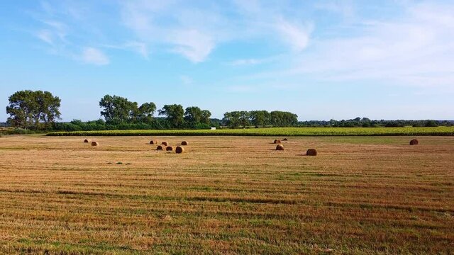 Aero drone flight over wheat field with rick straw bales