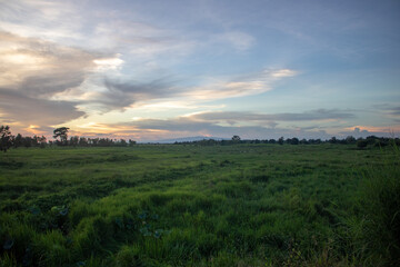 Natural scenery at sunset