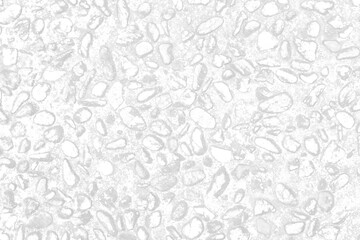 Abstract surface wallpaper of white and gray texture for background. White stones and pebble pattern effect for backdrop.