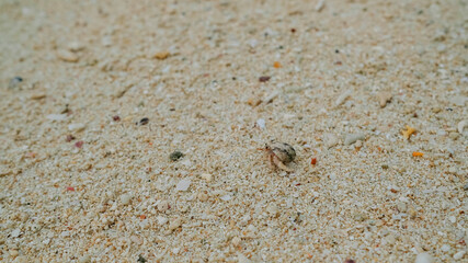 竹富島の海と砂