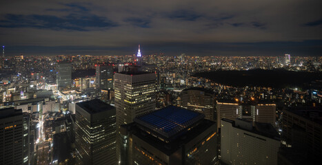 新宿の夜の始まり