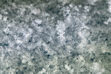 Winter solid background: fragile snowflakes of natural snow