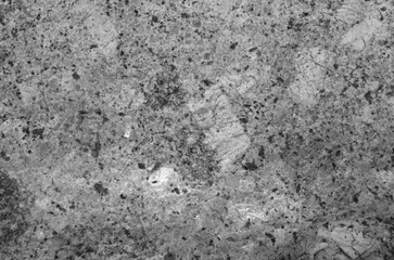 Porphyritic granite surface. Intrusive igneous rock.