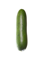 Smooth cucumber