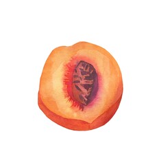 Watercolor orange peach. Juicy fruit on white isolated background.Ingredient for tasty and healthy meals.Design for menus,cards,social networks,prints,packaging,web,ceramics, recipes,decoration.