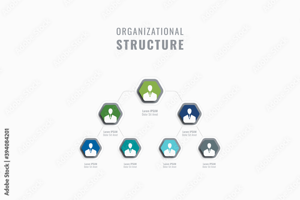 Poster vertical business hierarchy of the company template. multicolor hexagonal elements with person symbo