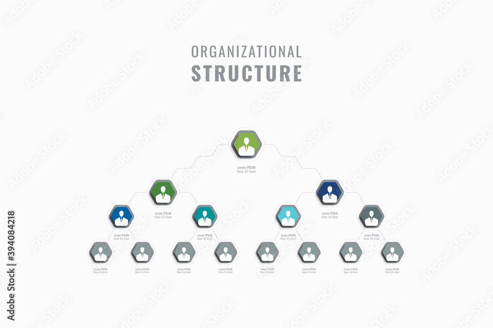 Poster vertical business hierarchy of the company template. multicolor hexagonal elements with person symbo