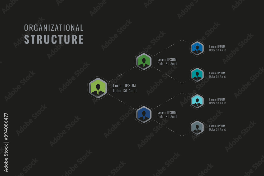 Poster horizontal business hierarchy of the company template. multicolor hexagonal elements with person sym