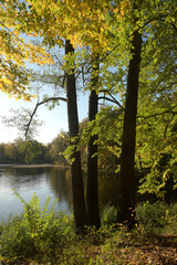 Obraz premium herbststimmung