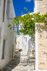 Fototapeta na wymiar Narrow street with white Greek architecture in Lefkes village on Paros Island, Cyclades, Greece