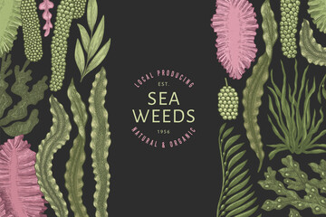 Seaweed color design template. Hand drawn vector seaweeds illustrations on dark background. Engraved style sea food banner. Retro sea plants background © lubovchipurko