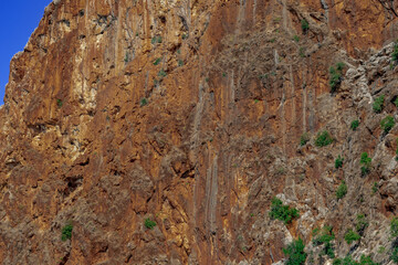 Steep cliff of high mountain, close-up. Texture of brown-orange rock with sparse green plants on it