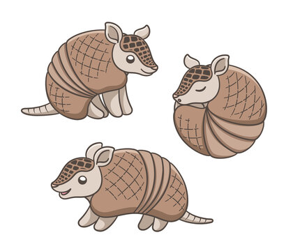 Armadillo cartoon in different poses vector illustration set. Sitting, standing and rolled up into a ball. Cute animal character design.