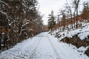 Obraz premium Snowy road surrounded by trees in autumn