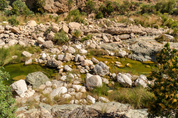 Landscape of Wadi Tiwi oasis with water springs, rocks stone and palm trees, Sultanate of Oman.