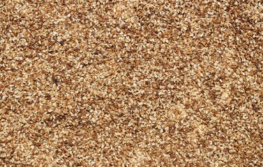 White Sesame Seed in Horizontal Orientation
