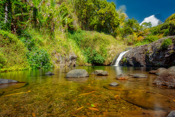 Fototapeta na wymiar Cascade des Délices. Place for picnics and family walks in the east of Reunion Island