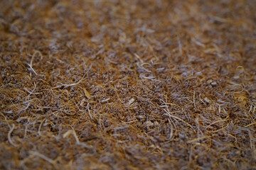 brown wicker mat and carpet background