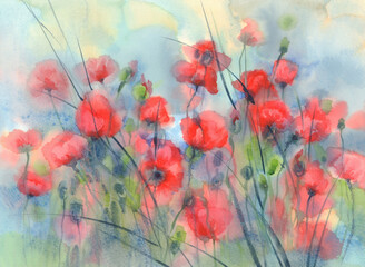 Sunny and red poppy field watercolor background - obrazy, fototapety, plakaty