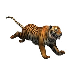 Wild animals - tiger - isolated on white background - 3D illustration