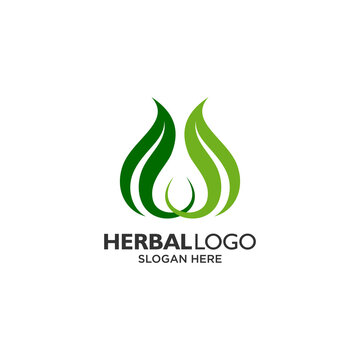 Letter W And Leaf Logo Design