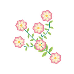 pink color flowers garden flat element