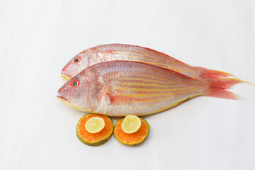Close up view of fresh Pink Perch (thread finned Bream) Decorated with lemon slice,Orange slice on a White Background,Selective focus.