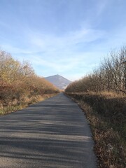 country road in autumn